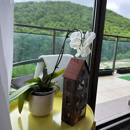 Διαμέρισμα Silvelen Mountain View *